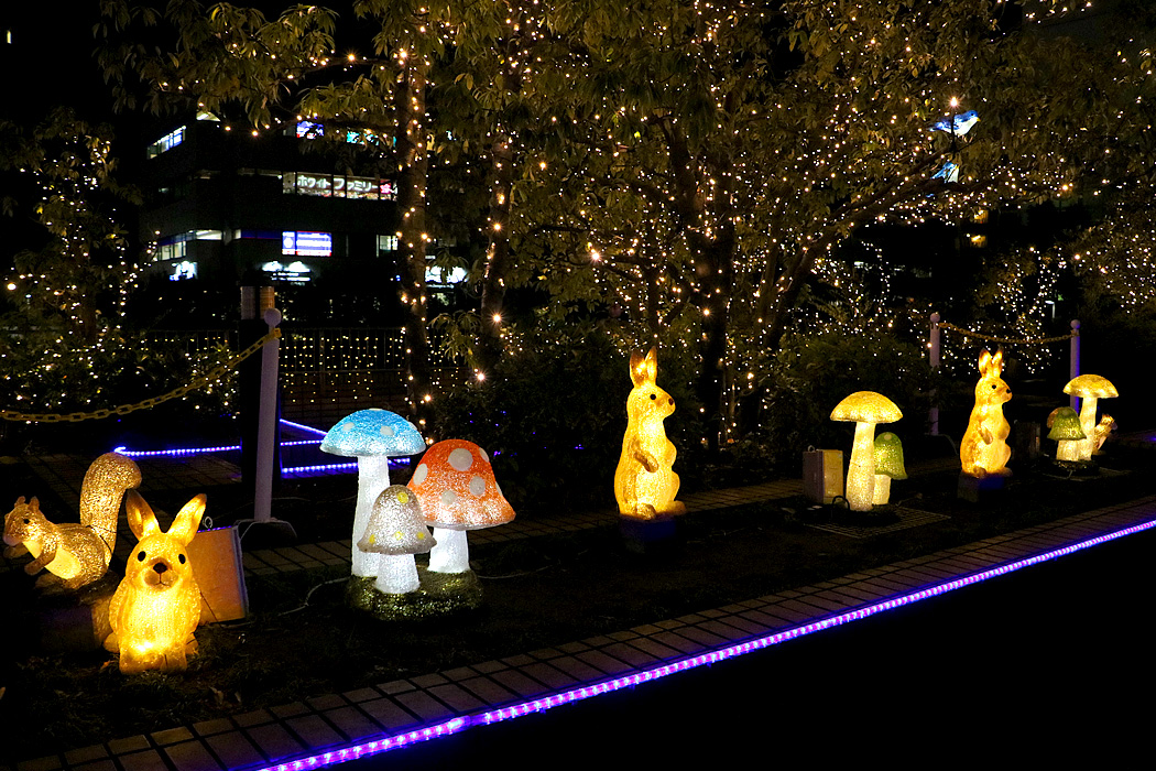 kirara@の泉